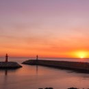 낭만느림보 이미지