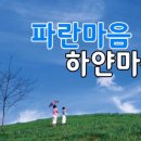 하얀마음