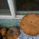 주형농장 이미지