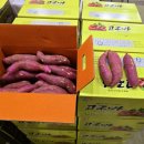 명지농장 이미지