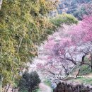 강변의 수채화 이미지