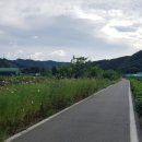 화전1리마을회관 이미지