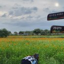 가을별빛 이미지