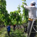 당진2동사무소 이미지