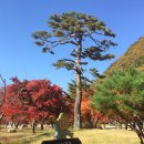 설악산 천불동계곡 단풍산행~ 이미지