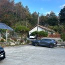 경포몽애견펜션 이미지