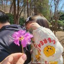 2023-01-0261 | [부산 아이랑] 화명수목원에서 숲해설 가족체험