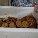 벌교삼성병원 이미지