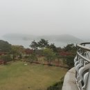 태백초등학교 이미지