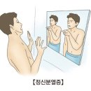 조현병[schizophrenia]뇌신경정신질환 이미지
