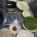 두근두근 쭈꾸미