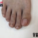 레푸스서면점 이미지