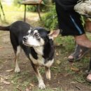 월금농장 이미지