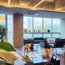 뉴페이스의원 이미지