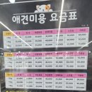 야옹아멍멍해봐단관점