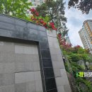 넝쿨공인중개사사무소 이미지