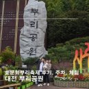 효문화뿌리축제 | 대전효문화뿌리축제 뿌리공원 현장후기 주차장, 체험 등