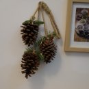 압구정함소아한의원 | 신생아 코막힘 궁금증 함소아한의원 비염정상회담에서 풀었어요!