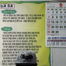 박가네 돼지국밥 | [보령 오천 맛집] 쭈꾸미 낚시 후 먹는 박가네 돼지국밥 추천