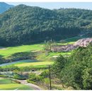 영동 일라이트CC 이미지