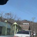 그린제일목장 | 강원도 평창 겨울 삼양목장 삼양라운드힐 겨울철 자차이동 양먹이주기 타조먹이주기 아기랑 목장