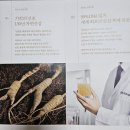 침향환가격 효능 부작용 섭취 후기