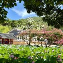 못안마을 | 26.07.30 한여름의 경주 <당일치기 코스>