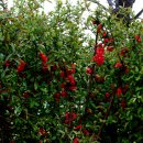 승학체육공원 이미지