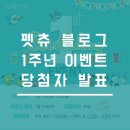 굼마디자인 | [당첨자발표]211명이나 신청한 펫츄 이벤트, 당첨자 발표!