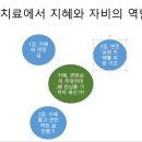 심리치료에서 지혜와 자비의 역할 책을 읽고 이미지
