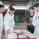 황성준 한우농장 이미지