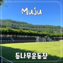 등나무1,2,3.길 이미지