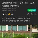 “쓰러진 아들 데려가라고 사진 보내”…열사병에 숨진 20대 근로자 이미지