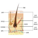 경대연합엠플랜의원 이미지