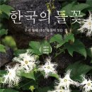 들꽃처럼 이미지