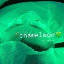 정문 앞 건널목 | 청라 피부관리 잘하는 곳, 건성피부관리 방법 궁금하다면?