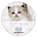 어울림동물메디컬센터 네이버블로그