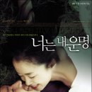 너는 내 운명 - 황정민 전도연 이미지