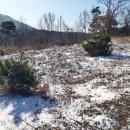 강하우체국 이미지