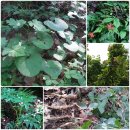 선회농장 이미지