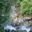 치악산자연휴양림 이미지