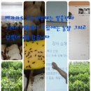 큐리농장 이미지