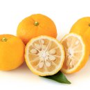 강화군산림조합 이미지