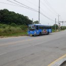 산동3호 이미지