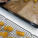 특별하개 이미지