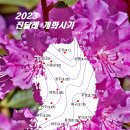 23년 봄꽃 개화 시기 정보 - 개나리 / 진달래 / 벚꽃 이미지