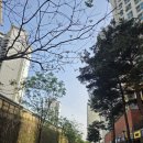 스시오가 | 건대 초밥 맛집 스시오가 신선도 추천메뉴 솔직후기