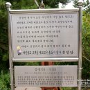 금강공원 케이블카 이용 후기 - 케이블카 이용 가격 및 위치. 부산 주말 나들이/ 데이트 코스 추천.