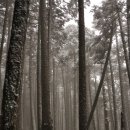 무릉농장 이미지