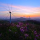 여명목장 이미지